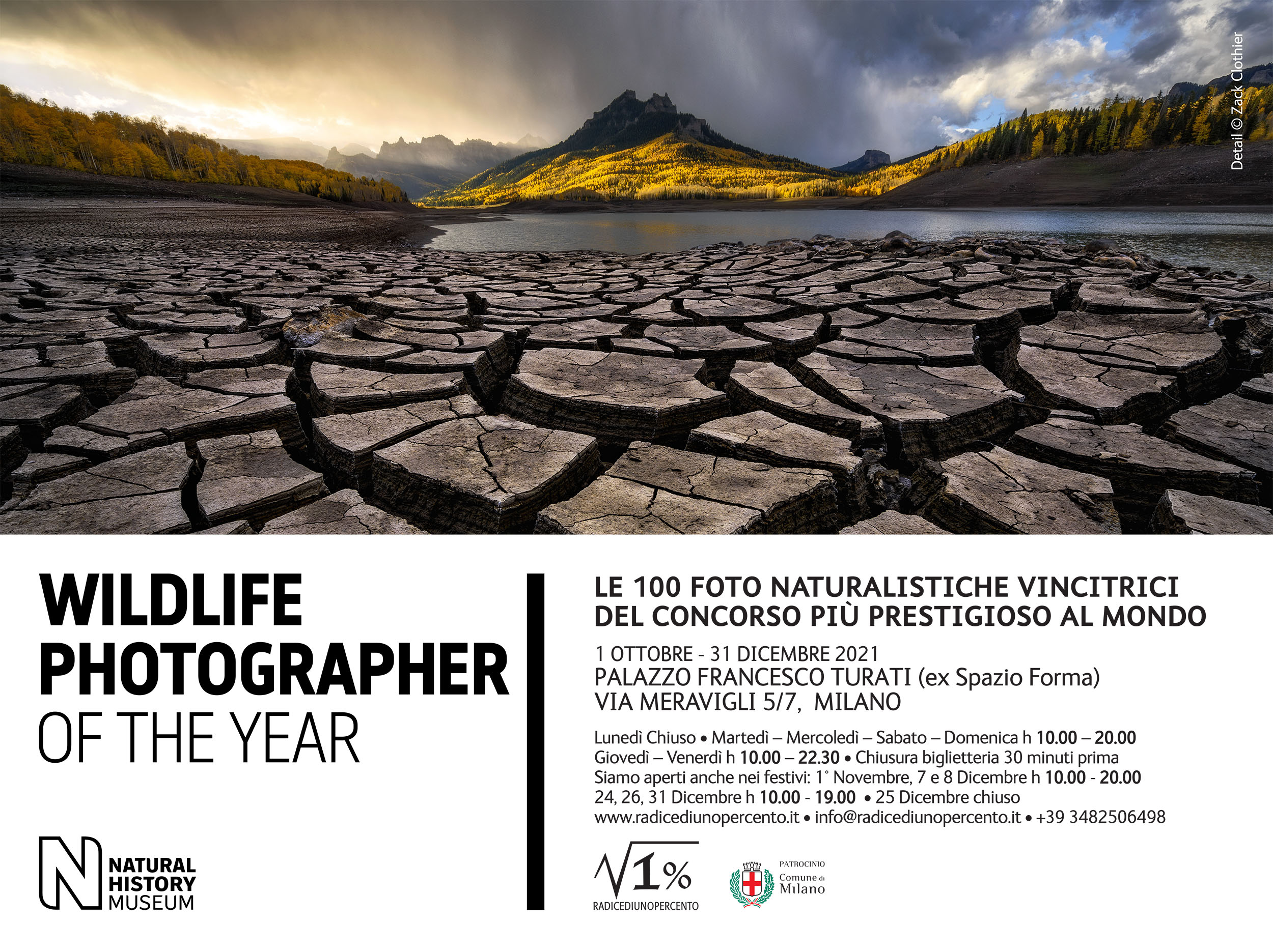 Ultimi giorni in mostra: Wildlife Photographer of the Year
